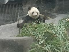 -鄂尔多斯野生动物园