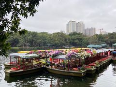-荔湾湖公园