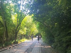 -紫金山索道-售票处