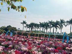 -盈香心动乐园