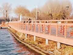 -丁香湖公园