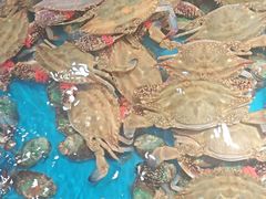 -隐厨·海鲜餐厅(恒通路店)