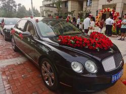 -蚂蚁婚车