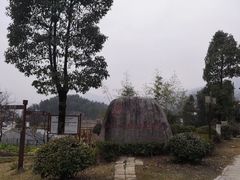 -紫鹊界梯田景区