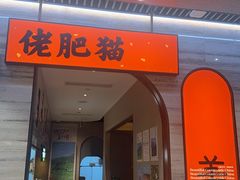 -佬肥猫(国华广场店)