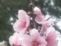 -桃花涧