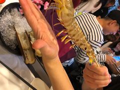 -鲜入围煮花胶鸡海鲜火锅