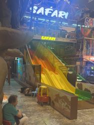 -卡通尼·Safari非洲探索乐园·生日会(金桥国际商业广场店)