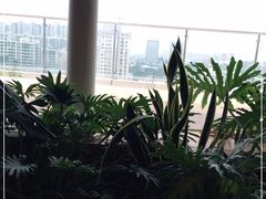 -Seesaw Coffee(朝阳大悦城店)