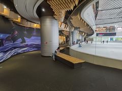 -TheRink大零溜冰场(IFS国金中心店)