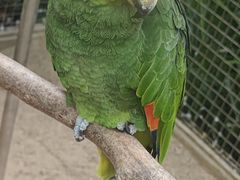 -大连森林动物园