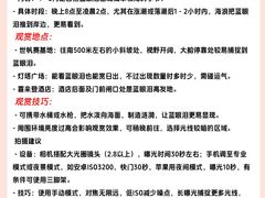 -日照灯塔风景区