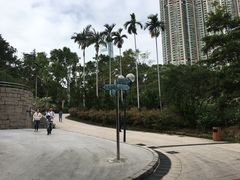 -九龙公园