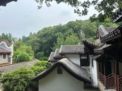 -茶颜悦色(岳麓山顶店)