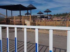 -鄂尔多斯野生动物园