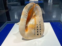 -贝壳王国博物馆