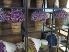 -L.C FLORA花予你(城西银泰城店)