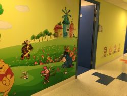 点击看大图 -杭州贝瑞斯美华妇儿医院·早孕·产检·儿科