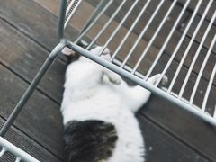 -UNI UNI(环亚凯瑟琳店)