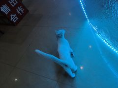 -K歌之王量贩式KTV(洪楼店)