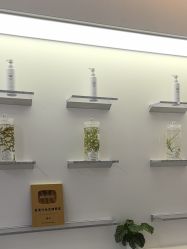 -北京雍禾植发医院