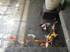 -天津海河悦榕庄·Lobby Lounge大堂吧