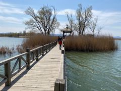 -野鸭湖国家湿地公园