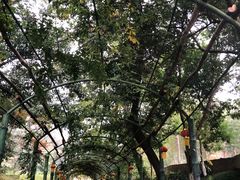 -韶关经律论国际酒店温泉