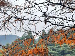 -福清灵石山国家森林公园