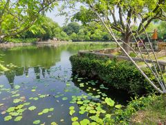 -无锡蠡湖国家湿地公园-蠡园