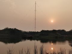 -福田红树林生态公园