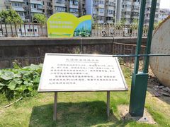 -江湾体育中心游泳馆