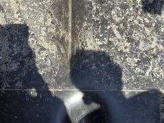 -赵州桥景区