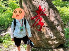 -大连天门山国家森林公园