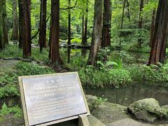 -虎跑公园