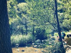 -碓臼峪自然风景区