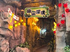 -正佳雨林生态植物园