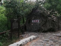 -阳台山自然风景区