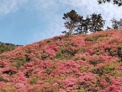 -木兰云雾山
