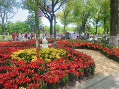 -上海鲜花港