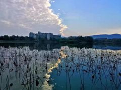 -江南大学(蠡湖校区)