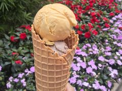 -成裕雪糕店(士多店)