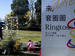-新食谱全日制餐厅·苏州苏州湾艾美酒店