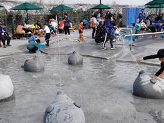 -季高兔窝窝亲子园(上海薰衣草公园店)