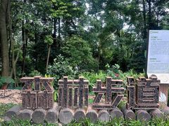 -广州市帽峰山景区