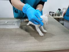 -荔康动物医院(康王北路店)