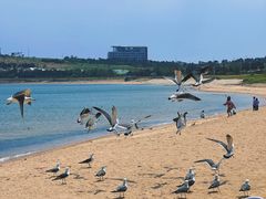 -海驴岛(荣成市)