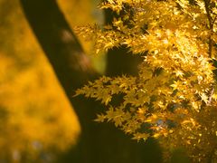 -上海交通大学(闵行校区)