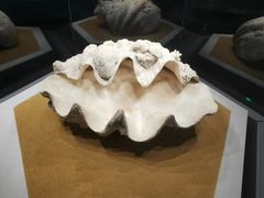 -贝林大翅鲸简餐厅(国家海洋博物馆店)