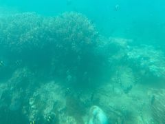 -亚龙湾海底世界